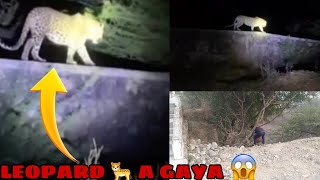 ARAVALI HILLS Per LEOPARD 🐆 Dekha Gaya 😲