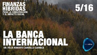 Papel de la Banca Internacional en la construcción de modelos de Finanzas Híbridas