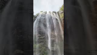 Cascadas en las Montañas Azules (Wildes Meadow, Wentworth Falls, Katoomba Falls) #Shorts #Short