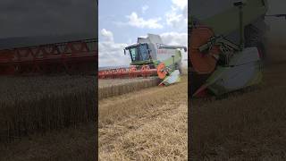 Claas Lexion 570 #agriculture #farming #tractor #agro #gülle #agri @Jakub-gt4dy @filipagrophoto