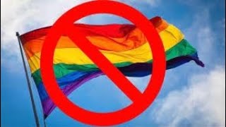 LGBTQ PRED BEHAVIOUR TOWARDS MINORS VERY DISTURBING