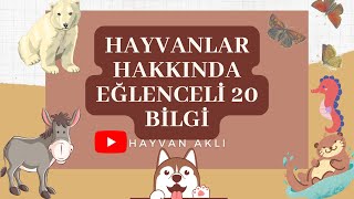 Hayvanlar Hakkında Muhtemelen Duymadığınız Eğlenceli 20 Bilgi💡💯