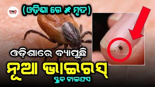 ବଡ଼ ଖବର-ଓଡ଼ିଶାରେ ବ୍ୟାପୁଛି ନୂଆ ରୋଗ||ସ୍କ୍ରବ ଟାଇଫସ||୫ ଜଣଙ୍କ ମୃତ୍ୟୁ||Today Breaking News Odia||T News