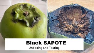 BLACK SAPOTE unboxing and trying from Lara Farms