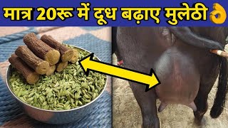 गाय/भैंस का दूध बढ़ाए मात्र 20रू में|Doodh bdhane ka desi|Desi formula for increase cow/buffalo milk