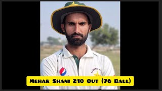 Mehar Shani 210 Run Batting High Score in T20 Match | Lahore Tiger Arriyan More | #cricket