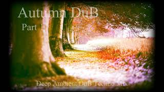 Liquid Fraction - Autumn DuB -  Part 1 - Deep Ambient DuB Techno Mix - 1st Sep 2023.