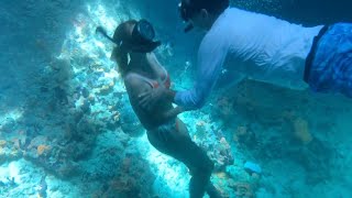 Exuma, Bahamas Trip 2021 - Turtles, Swimming Pigs, Iguanas, Stingrays, Thunderball Grotto & Sandbar