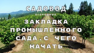 Закладка промышленного сада. С чего начать