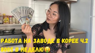 ЖЕНСКАЯ РАБОТА В КОРЕЕ НА ЗАВОДЕ ~120$ ЗА СМЕНУ🤑| РАБОТА НА САЧУЛЕ| ПОЛЕЗНАЯ ИНФОРМАЦИЯ