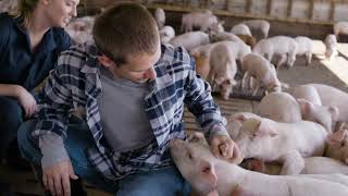 America’s Pig Farmers Focused on Feeding our Country