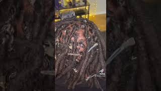 Loc Retwist & Style