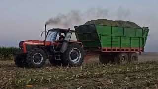 KUKURYDZA NA KISZONKĘ 2024🌽 URSUSY W AKCJI 🔥ENGINE SOUND