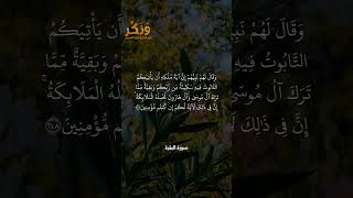 تلاوة جميلة من سورة البقرة الآية 248 بصوت القارئ مشاري راشد العفاسي #حالات #فولو #quran #shorts