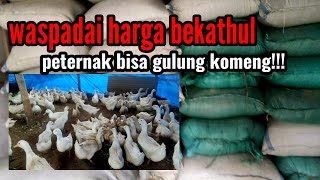 Waspadai harga bekathul peternak bisa gulung komeng!!!