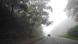 Foggy evening drive near Titiwangsa Peak Malaysia NatureHD