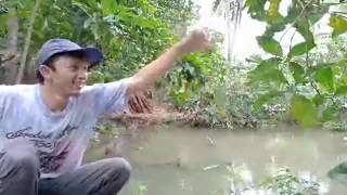 Mancing Di Kolam Om Dephi Jenggot | HOBI LELAKI