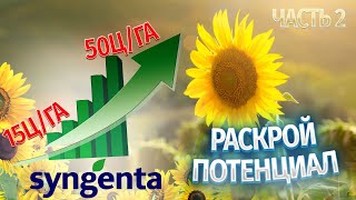 "Система защиты на подсолнечнике" - SYNGENTA. ЧАСТЬ2.