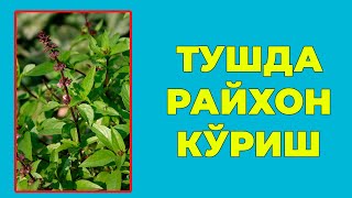 Туш табири - Тушда Райхон куриш