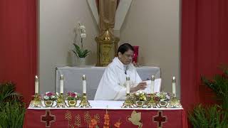 Solemnity of the Body and Blood of Christ - (Sat. 5 pm) (LIVE) - June 11, 2023