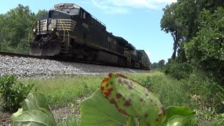 60 MPH NS 282 Flying thru Suwanee, GA! 7/17/2024