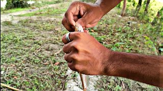 AMAZING Hook Fishing - Best Traditional Hook Fishing | Fishing In Pond | Hook Fishing Video