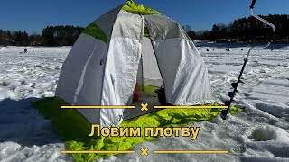 Ловим плотву (Истринское водохранилище) #рекомендации #youtube