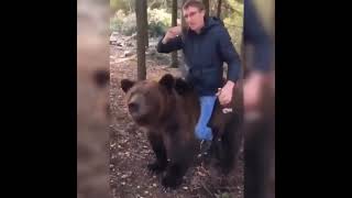 Drunk Man Riding A Bear🤔