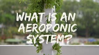 What is an aeroponic system?