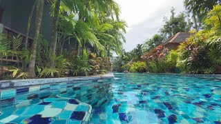 Budget hotel in Phuket/Thailand with stunning beautiful nature & quiet environment  [4K]