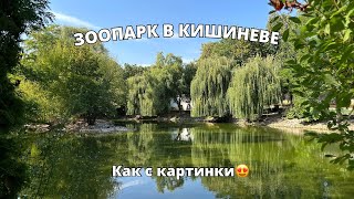 ЗООПАРК В КИШИНЕВЕ| МОЛДОВА 2023