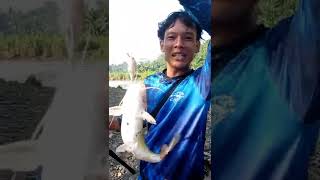 Casting ikan Baung