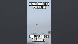 Flying Biggest Pipa Kite In India #shorts #trendin #viralvideo #pipacombate #kiteflying #punjabikite