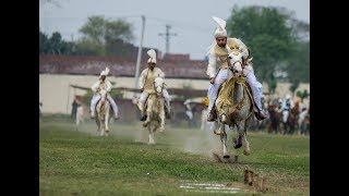 Day 5 Part 29 National championship of Neza Bazi 2018 Faisalabad Agriculture University Tent Pegging