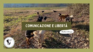 Comunicazione e libertà