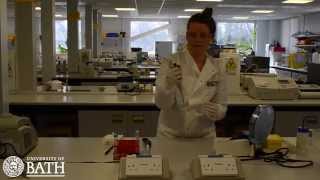 Cheek cell DNA extraction for use in the PCR process