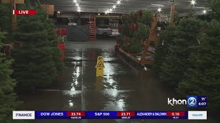 Christmas trees are out and ready for sale