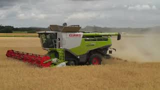 Combining Peas: Ponsonby Farms