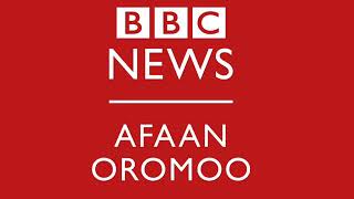 BBC Afaan Oromoo "Babaaroo 
Sagantaan keenya galgala kanaa eegaleera.