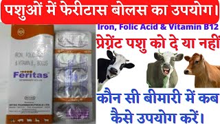 Feritas Vet-Bolus:-  Iron, Folic Acid & Vitamin B12 | Feritas Bolus Dose,Side effect,Animal/Feritas.