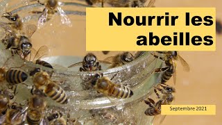 Les abeilles ont faim !!! Septembre 2021