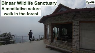 Binsar wildlife Sanctuary - A meditative nature walk in the forest. Uttarakhand Tour EP-9.