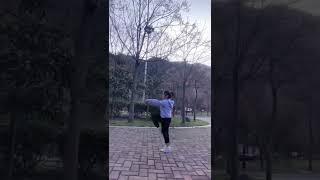 Tai chi Kungfu. Chinese kung fu, Shaolin Kungfu。You can follow