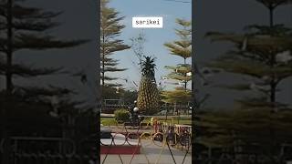 Sarikei #shortsvideo #travel #sarawaktravel #sarikei #shorts #short