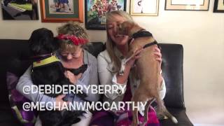 Meghan McCarthy and Debi Derryberry talk for Dogs | Vine Voices