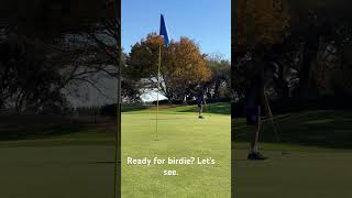 Try to make it for birdie. #golfing  #video #viral #reels #viralvideo #trending #trend #photography