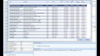 WiSys (OPM) -  2nd how-to Pivot Table Component Training User Defined Filters