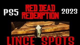 RDR1 PS4 PS5 LINCE MEJOR sitio LUGAR SPOT RED DEAD redemption 1 PS5 2023