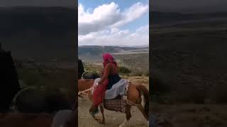 nomads move to Yeilagh (cold areas) | Nomad life Iran #shorts #lifestyle #digitalnomad