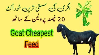 What is Best Thing to Feed a Goat